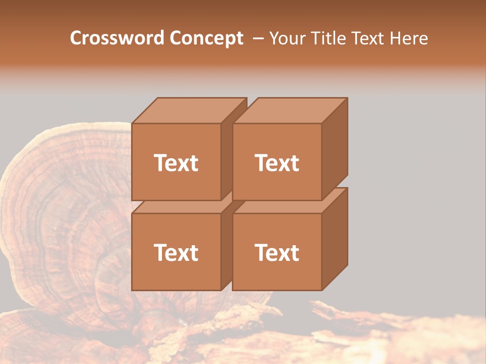 Place Of Interest Scottish Culture Rome PowerPoint Template