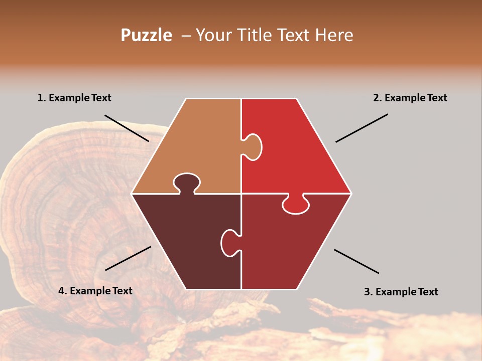 Place Of Interest Scottish Culture Rome PowerPoint Template