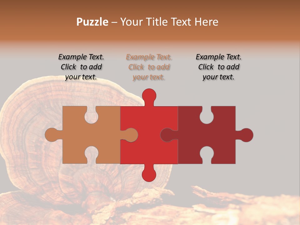 Place Of Interest Scottish Culture Rome PowerPoint Template