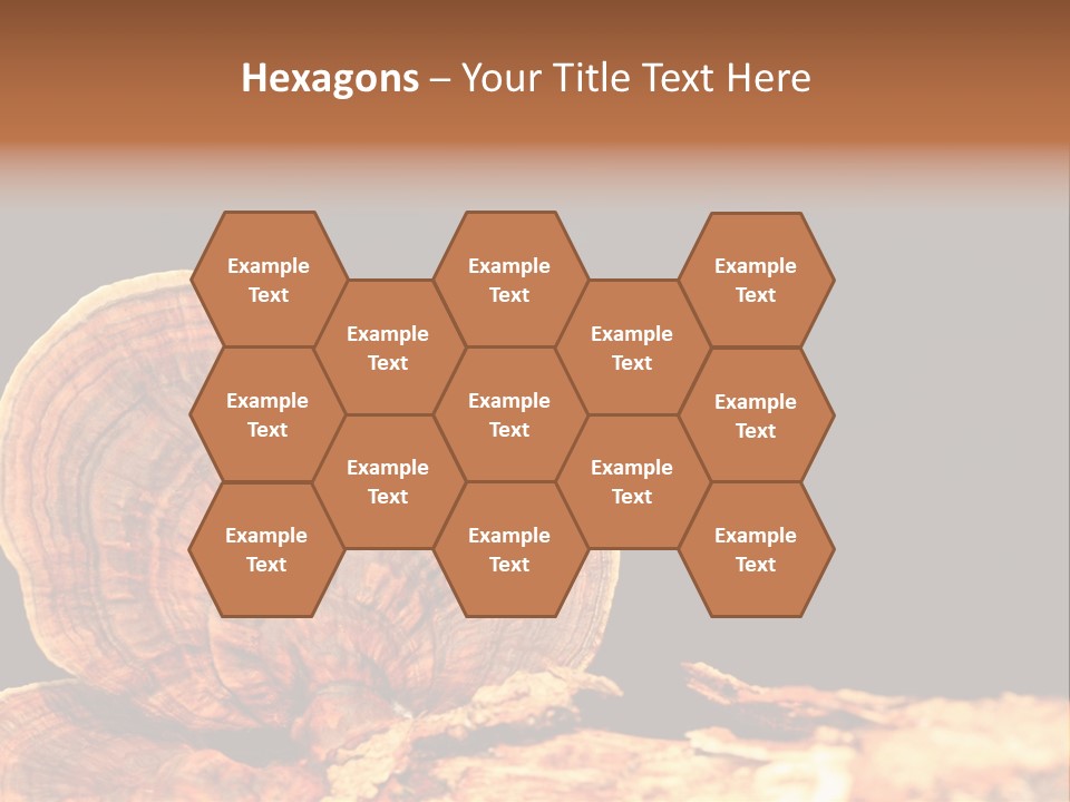 Place Of Interest Scottish Culture Rome PowerPoint Template