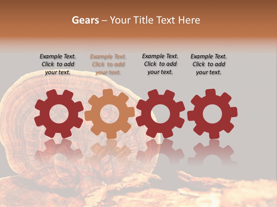 Place Of Interest Scottish Culture Rome PowerPoint Template