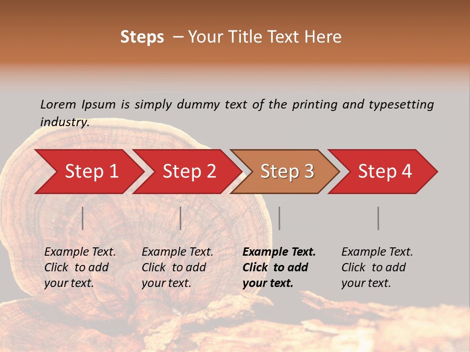 Place Of Interest Scottish Culture Rome PowerPoint Template