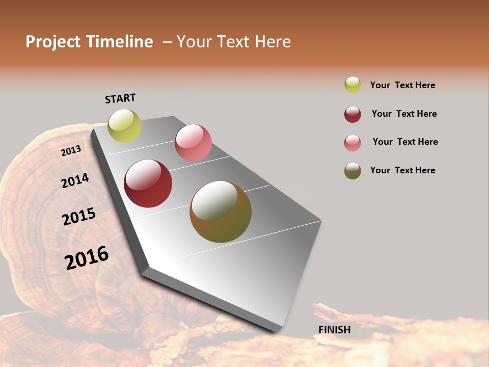 Place Of Interest Scottish Culture Rome PowerPoint Template