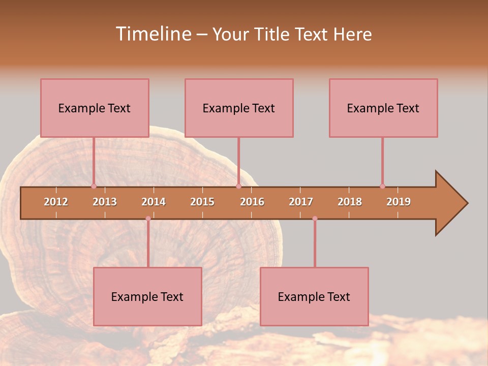 Place Of Interest Scottish Culture Rome PowerPoint Template