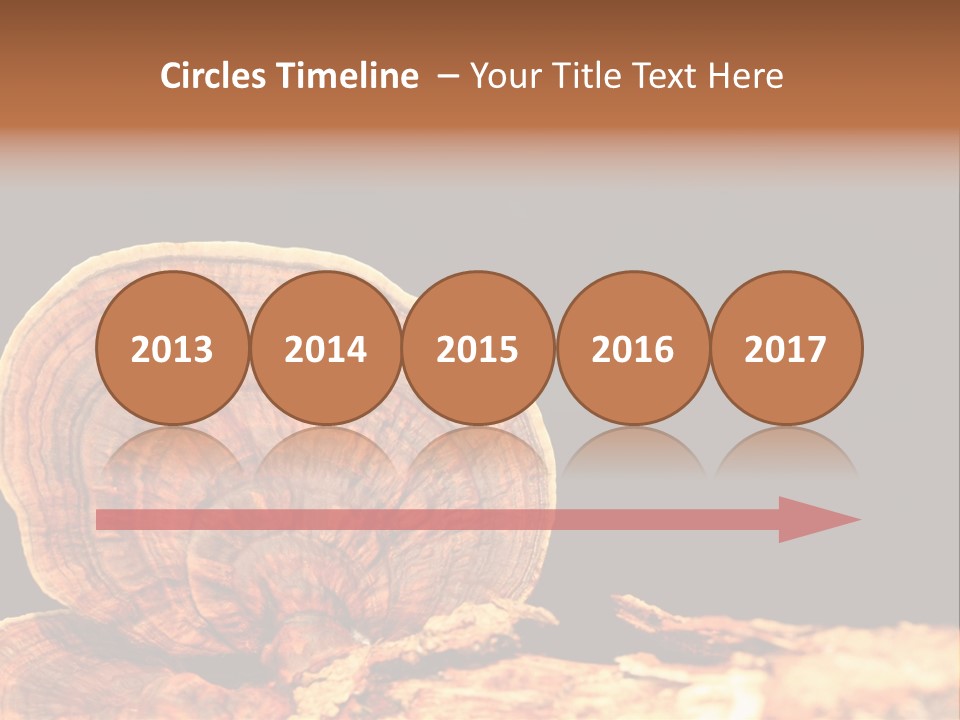 Place Of Interest Scottish Culture Rome PowerPoint Template