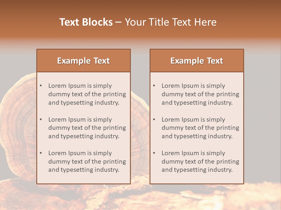 Place Of Interest Scottish Culture Rome PowerPoint Template