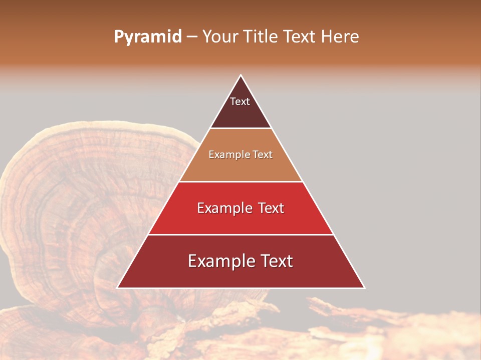 Place Of Interest Scottish Culture Rome PowerPoint Template