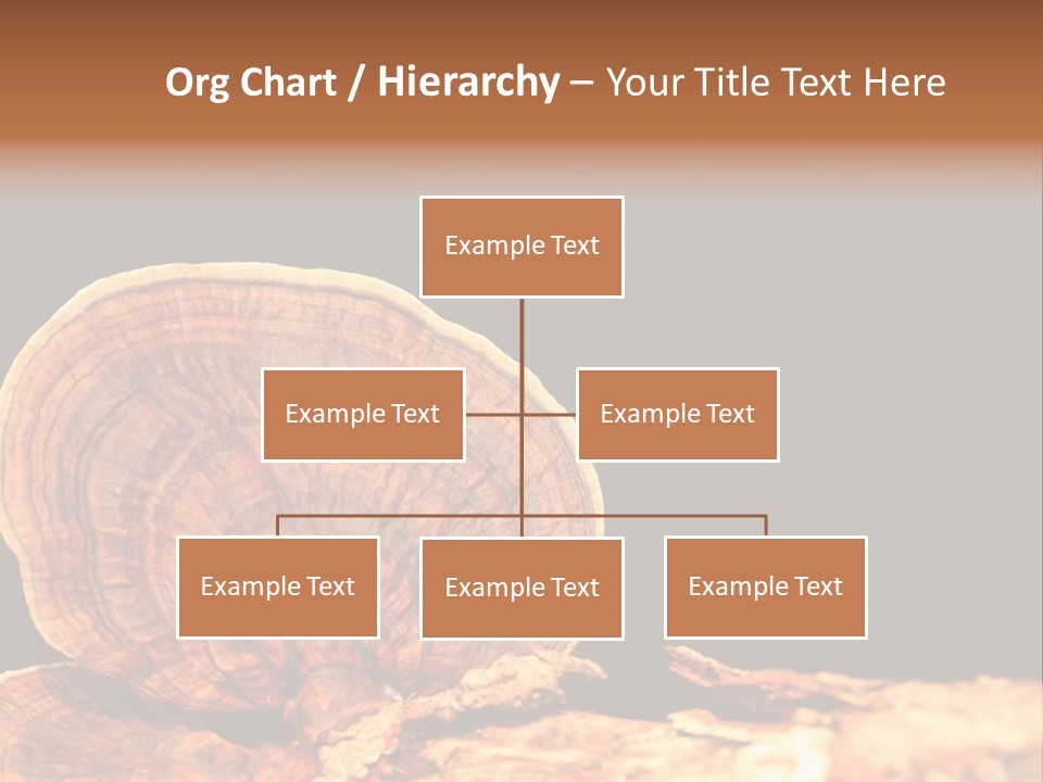 Place Of Interest Scottish Culture Rome PowerPoint Template