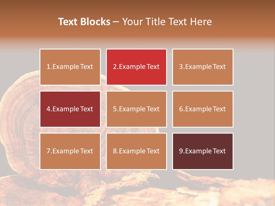 Place Of Interest Scottish Culture Rome PowerPoint Template