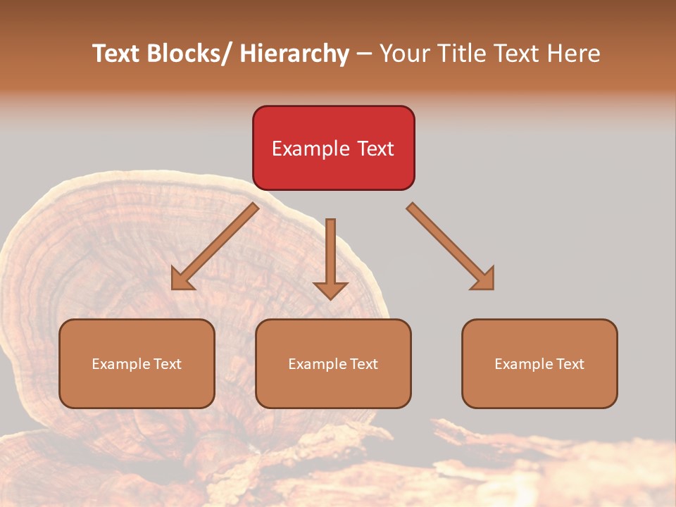 Place Of Interest Scottish Culture Rome PowerPoint Template