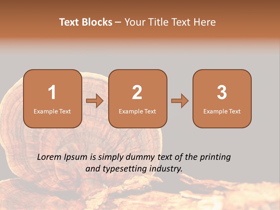Place Of Interest Scottish Culture Rome PowerPoint Template