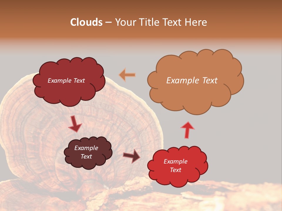 Place Of Interest Scottish Culture Rome PowerPoint Template