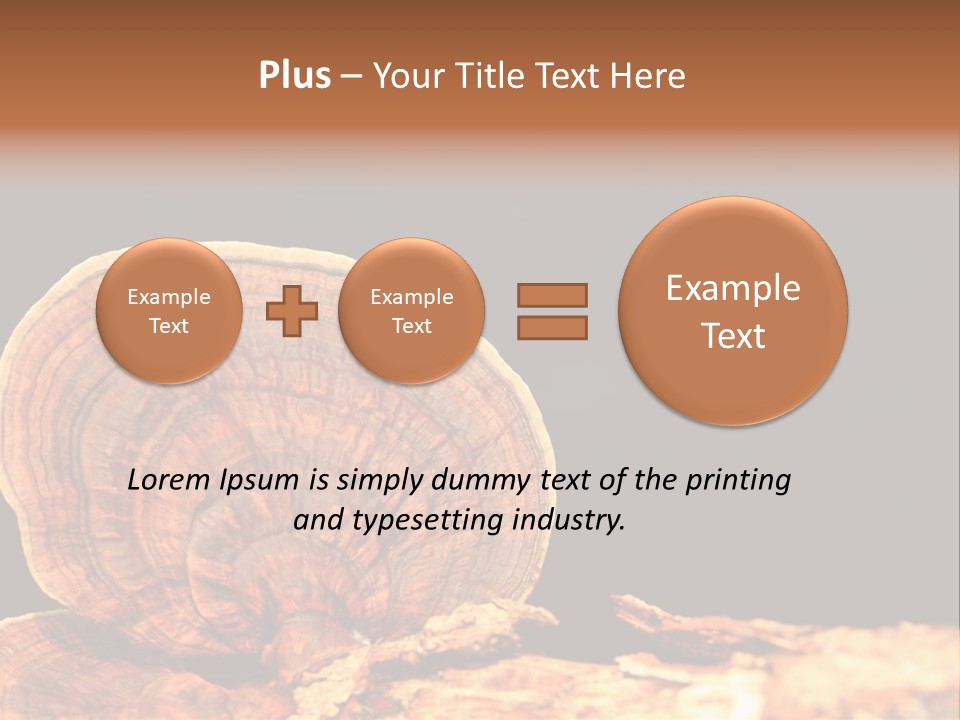 Place Of Interest Scottish Culture Rome PowerPoint Template