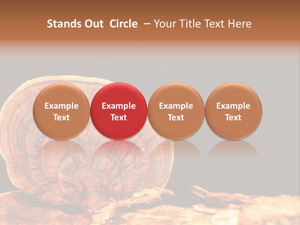 Place Of Interest Scottish Culture Rome PowerPoint Template