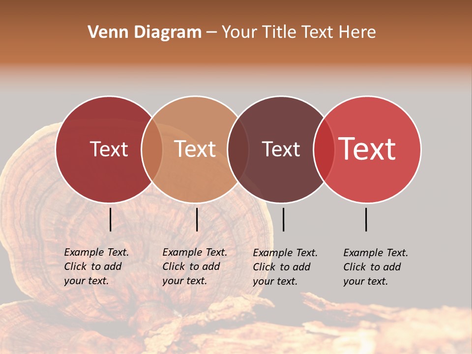 Place Of Interest Scottish Culture Rome PowerPoint Template