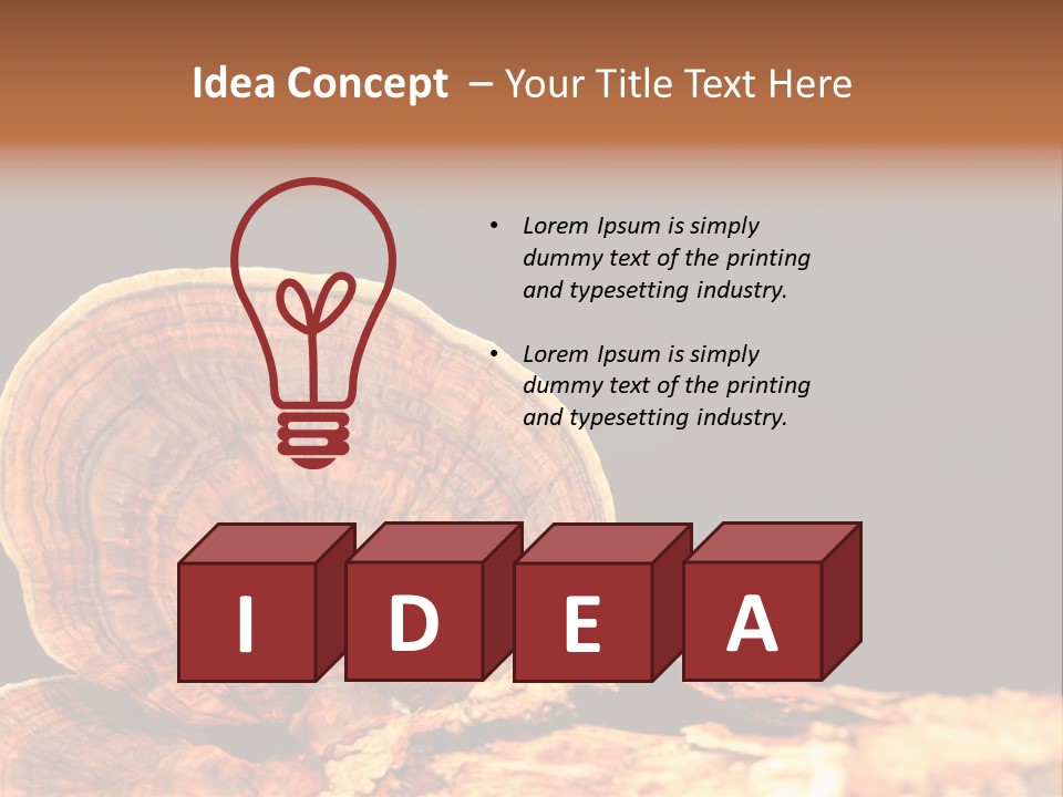 Place Of Interest Scottish Culture Rome PowerPoint Template