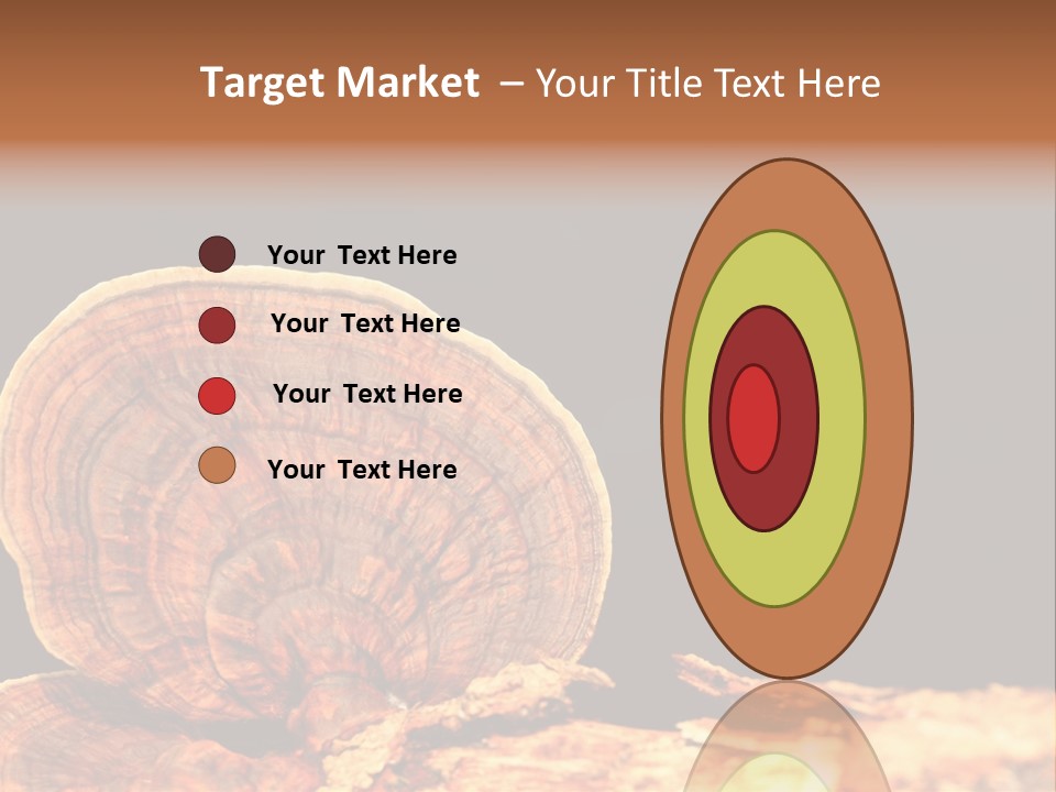 Place Of Interest Scottish Culture Rome PowerPoint Template