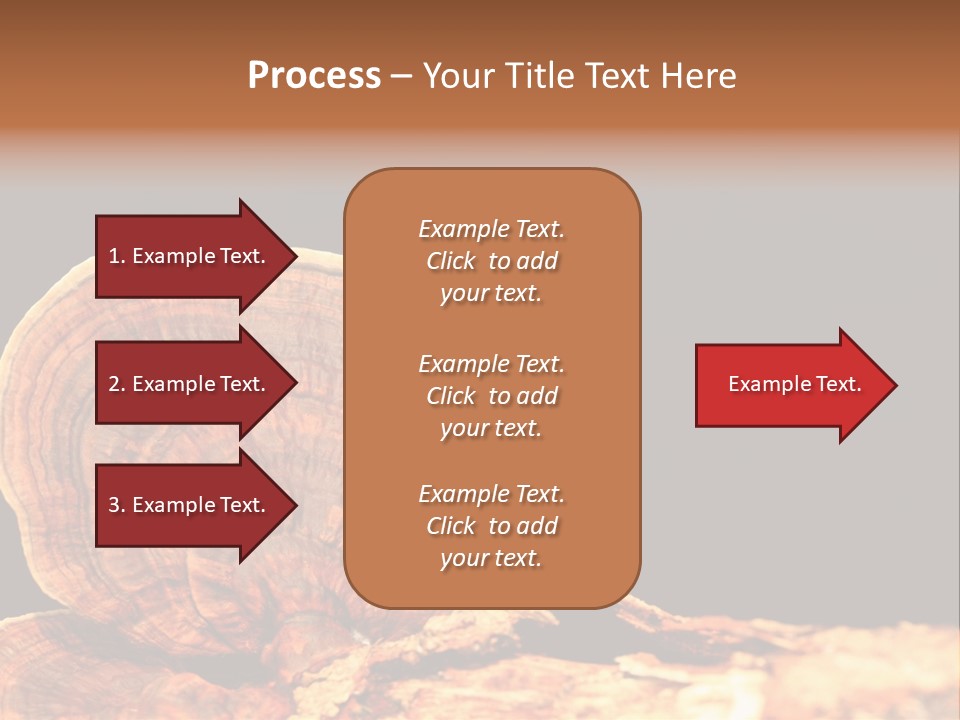 Place Of Interest Scottish Culture Rome PowerPoint Template