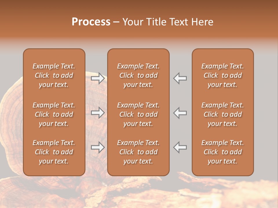 Place Of Interest Scottish Culture Rome PowerPoint Template