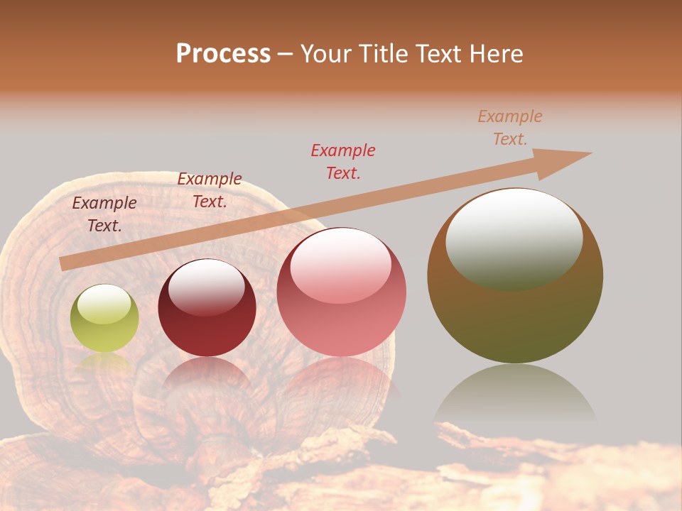 Place Of Interest Scottish Culture Rome PowerPoint Template