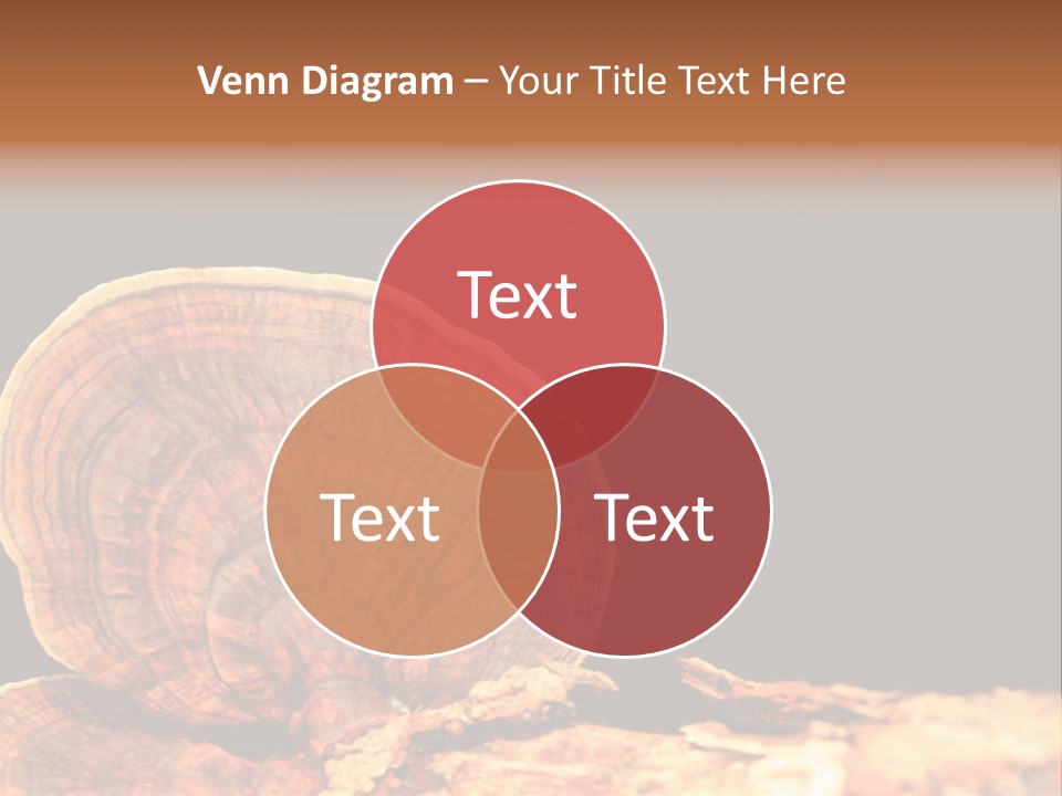 Place Of Interest Scottish Culture Rome PowerPoint Template