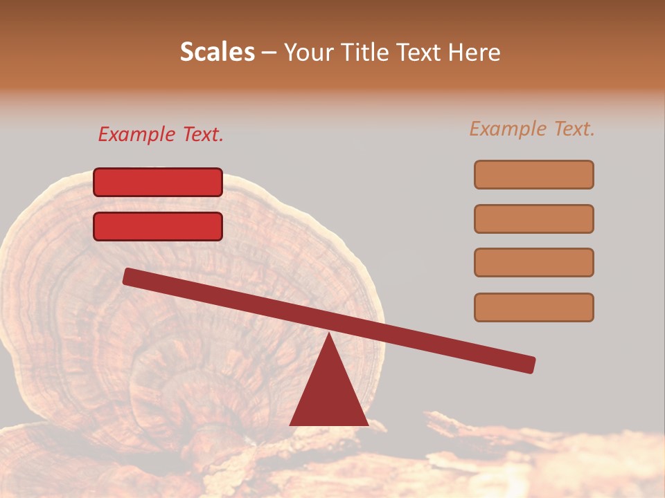 Place Of Interest Scottish Culture Rome PowerPoint Template