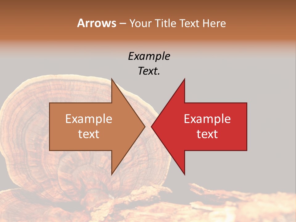 Place Of Interest Scottish Culture Rome PowerPoint Template