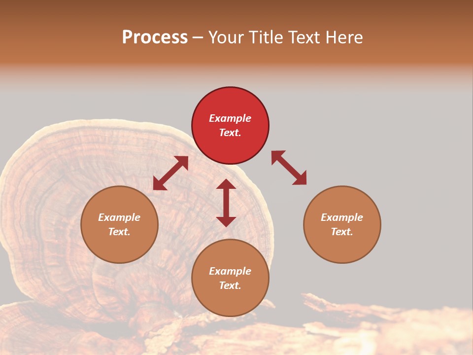 Place Of Interest Scottish Culture Rome PowerPoint Template