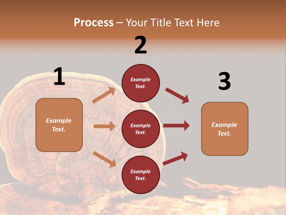 Place Of Interest Scottish Culture Rome PowerPoint Template