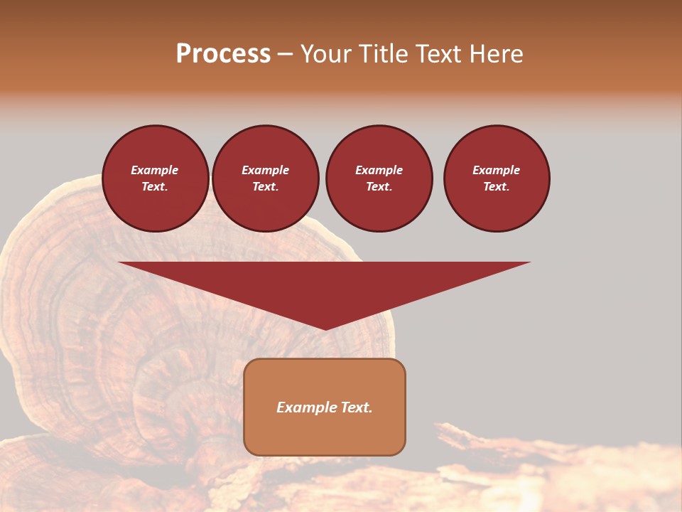 Place Of Interest Scottish Culture Rome PowerPoint Template