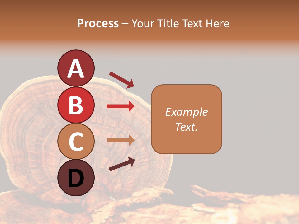 Place Of Interest Scottish Culture Rome PowerPoint Template