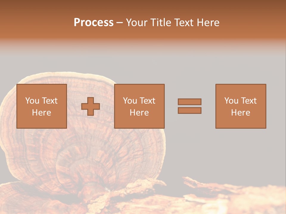 Place Of Interest Scottish Culture Rome PowerPoint Template