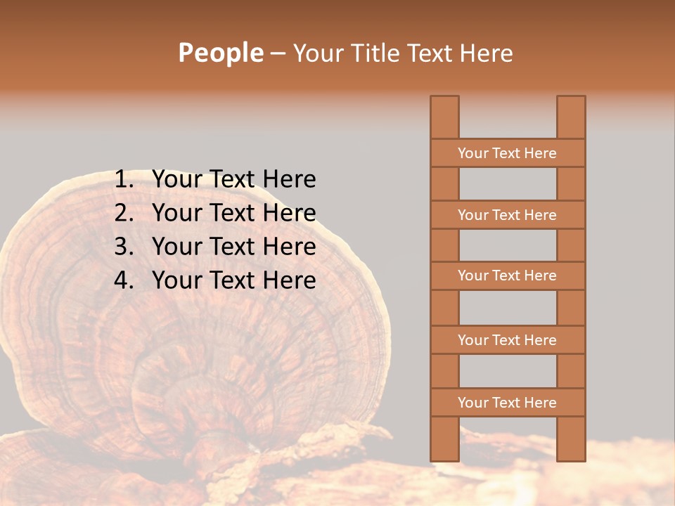 Place Of Interest Scottish Culture Rome PowerPoint Template