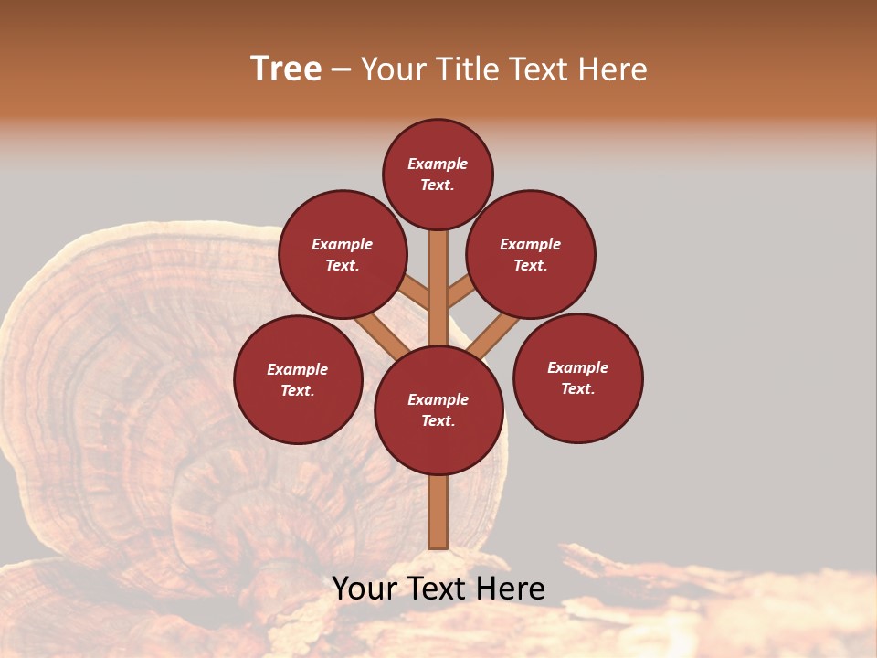 Place Of Interest Scottish Culture Rome PowerPoint Template