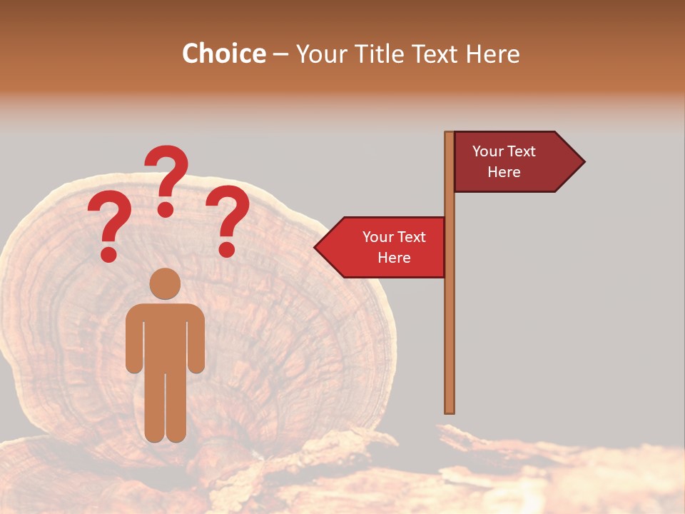 Place Of Interest Scottish Culture Rome PowerPoint Template