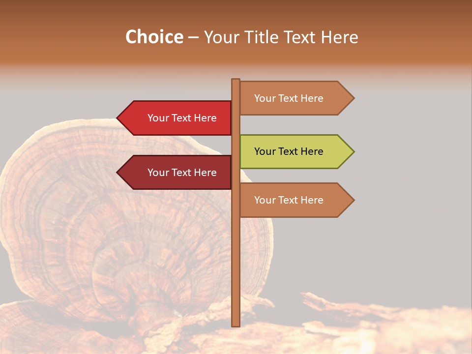 Place Of Interest Scottish Culture Rome PowerPoint Template