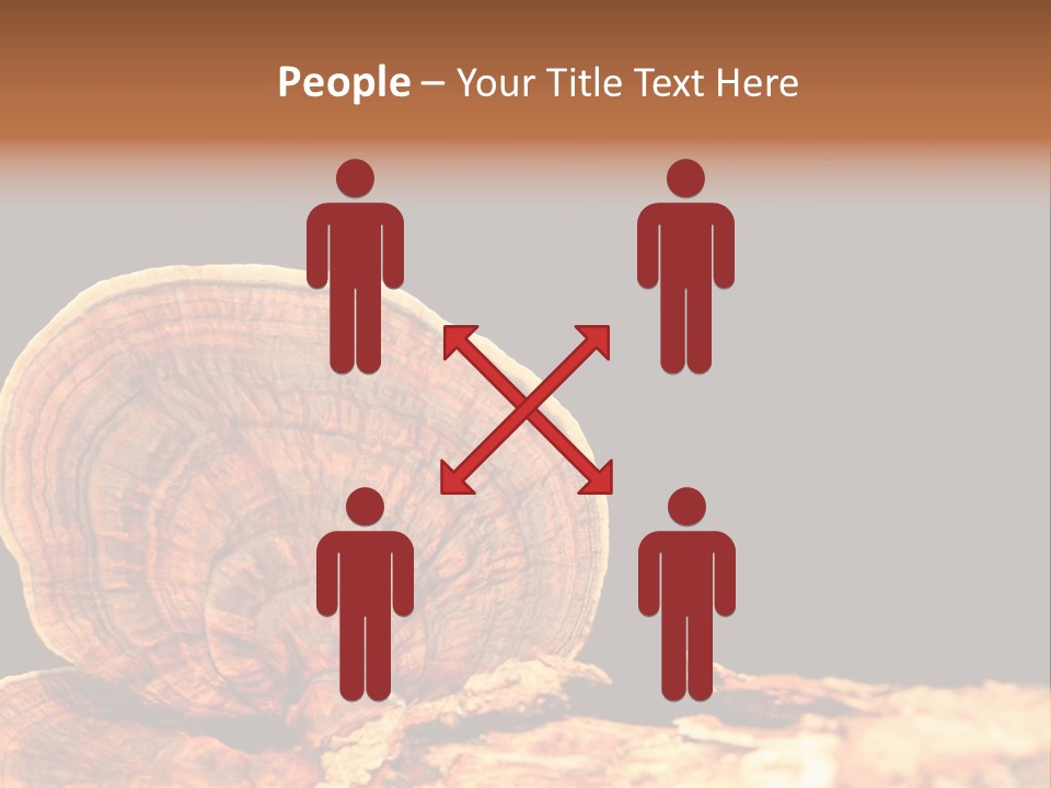 Place Of Interest Scottish Culture Rome PowerPoint Template