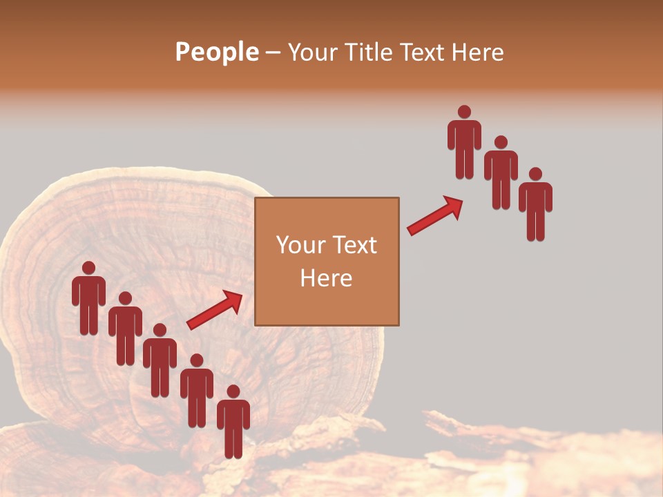 Place Of Interest Scottish Culture Rome PowerPoint Template