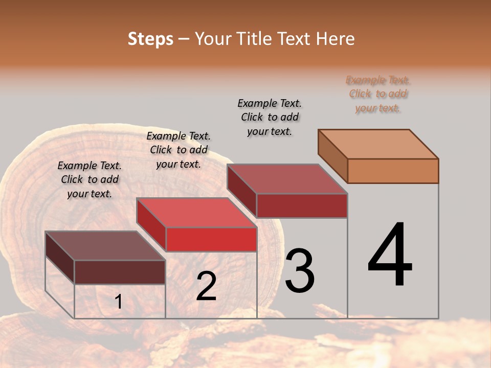 Place Of Interest Scottish Culture Rome PowerPoint Template