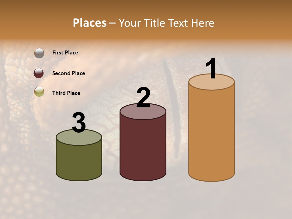 Macro Reptile Eyeball PowerPoint Template