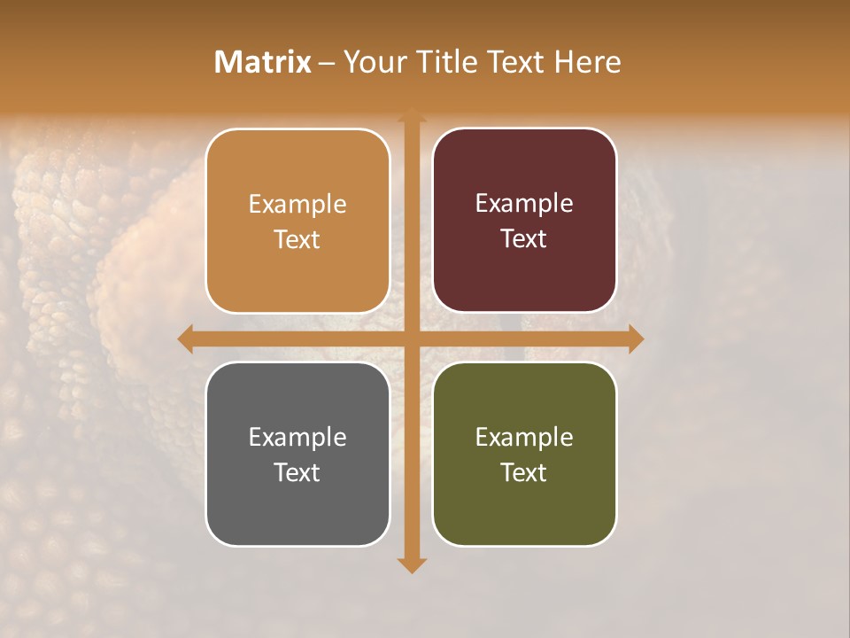 Macro Reptile Eyeball PowerPoint Template