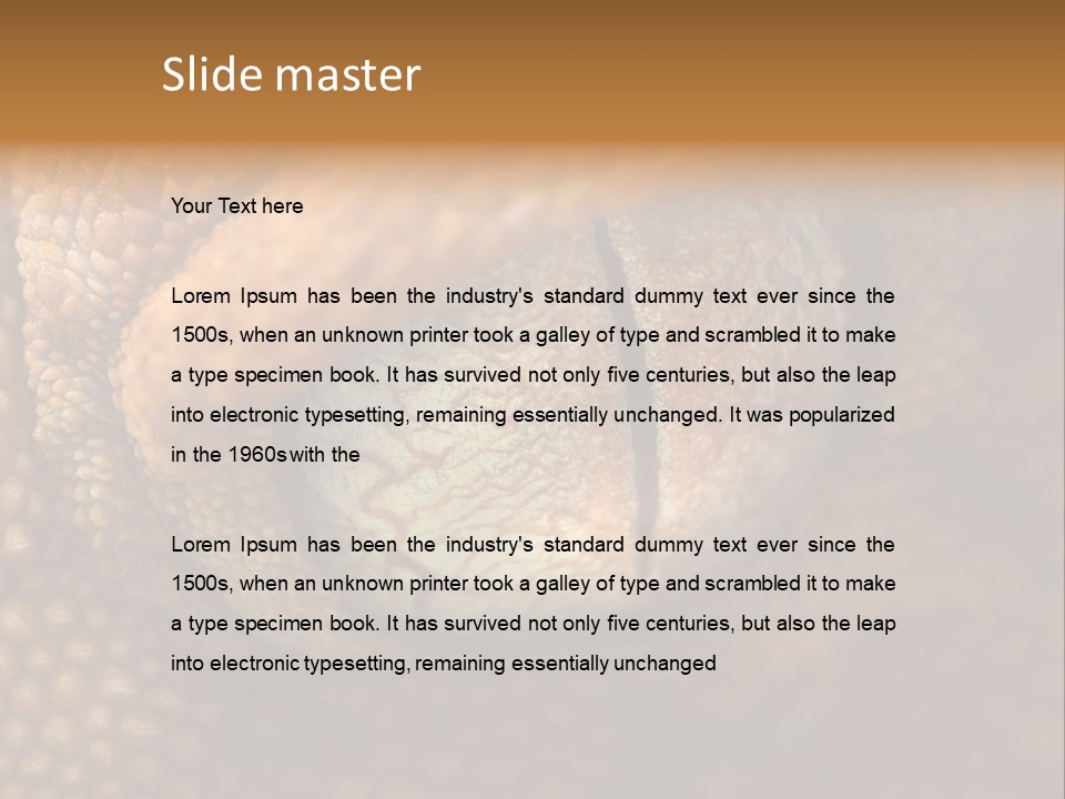 Macro Reptile Eyeball PowerPoint Template