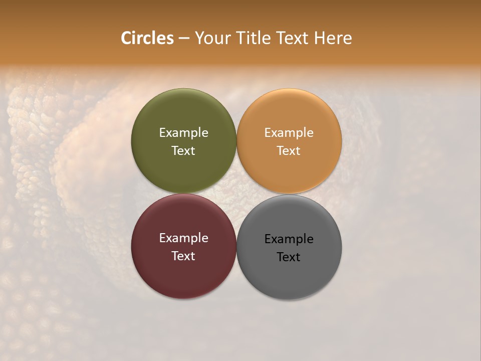 Macro Reptile Eyeball PowerPoint Template