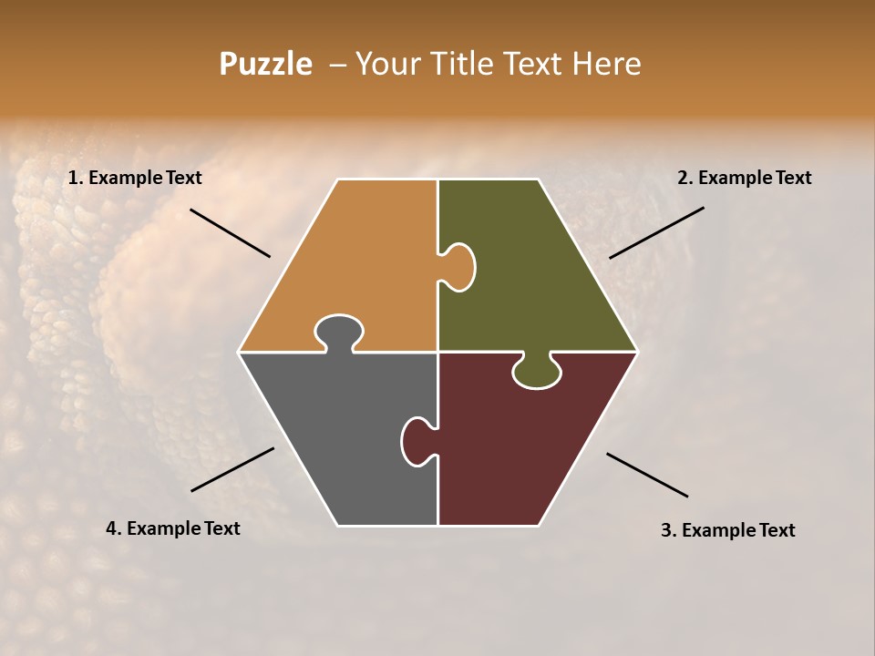 Macro Reptile Eyeball PowerPoint Template