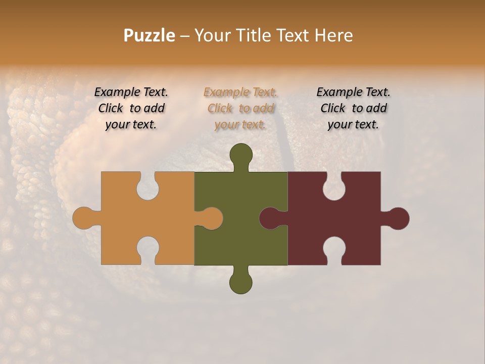 Macro Reptile Eyeball PowerPoint Template