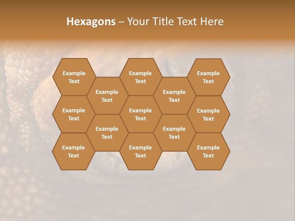 Macro Reptile Eyeball PowerPoint Template