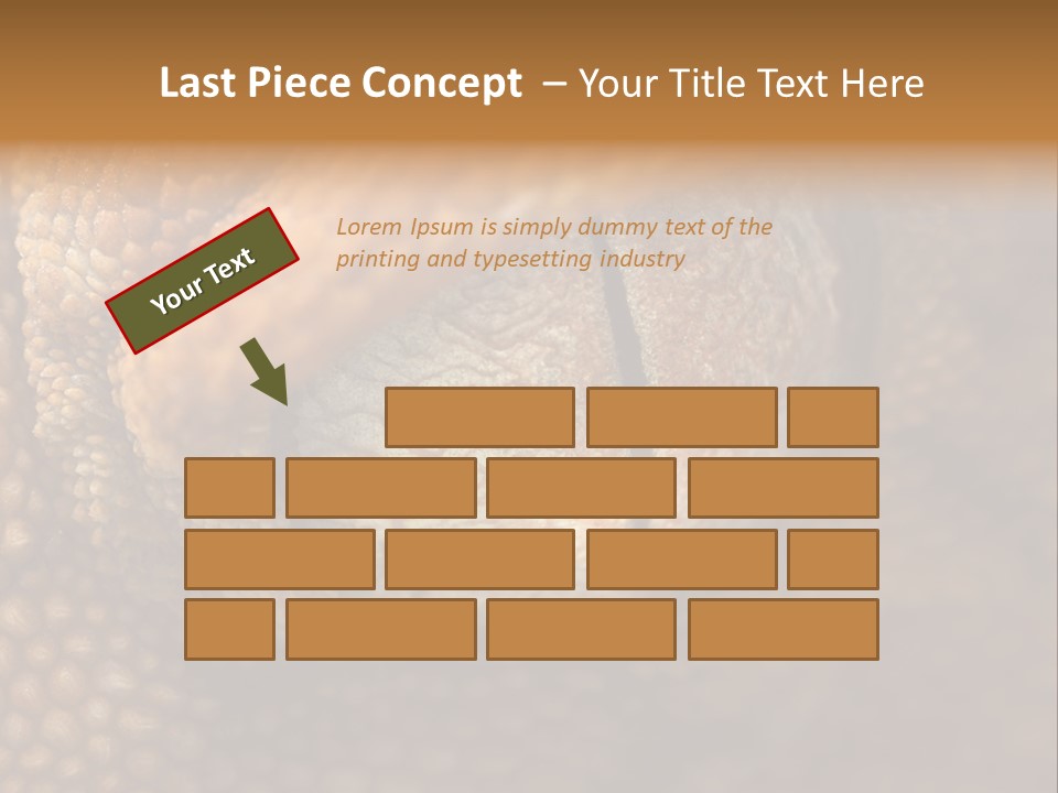 Macro Reptile Eyeball PowerPoint Template