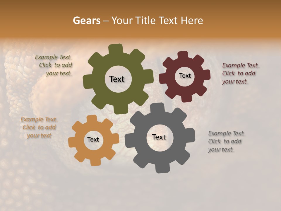 Macro Reptile Eyeball PowerPoint Template