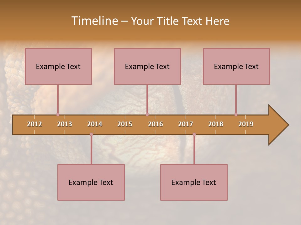 Macro Reptile Eyeball PowerPoint Template