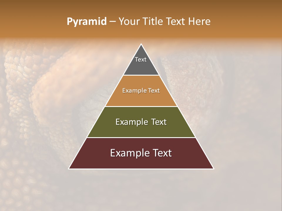 Macro Reptile Eyeball PowerPoint Template